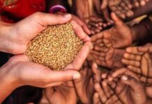 Ration Distribution for Migrants Begins Across Jammu Province