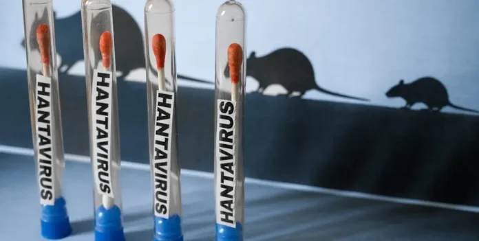 Hantavirus: Could This Rare Virus Become The Next Pandemic After Covid?