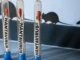 Hantavirus: Could This Rare Virus Become The Next Pandemic After Covid? Hantavirus: Could This Rare Virus Become The Next Pandemic After Covid?