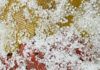 Hailstorm Damages Orchards, Crops in Kulgam South Kashmir