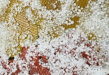 Hailstorm Damages Orchards, Crops in Kulgam South Kashmir