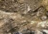 2 Dead, 2 Missing After Vehicle Found in Nallah Along Mughal Road