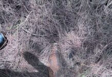Rusted Shell Found in Forest Area of Nowshera