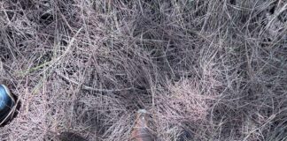 Rusted Shell Found in Forest Area of Nowshera