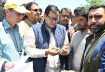 Javid Dar Visits Hailstorm-Hit Rafiabad, Assures Relief to Affected Farmers
