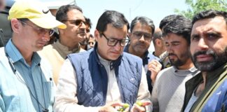 Javid Dar Visits Hailstorm-Hit Rafiabad, Assures Relief to Affected Farmers