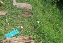 Security Forces Recover Huge Cache of RPG Ammunition In Baramulla