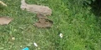 Security Forces Recover Huge Cache of RPG Ammunition In Baramulla