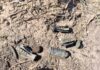 Suspicious Explosive Material Recovered During Search Operation in Samba