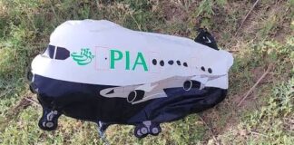 PIA Balloon Found in Samba Field