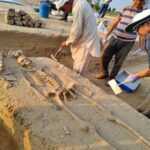 Human skeletal remains found in Haryana, sent advanced scientific research