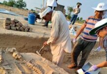 Human skeletal remains found in Haryana, sent advanced scientific research
