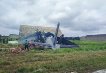 Five IAF personnel killed in plane crash in Assam