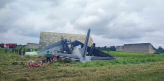 Five IAF personnel killed in plane crash in Assam