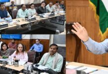 CS reviews hurdles, pushes measures to speed up solarisation in J&K