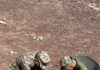 Indian Army Marks World Environment Day with Awareness Drives in Kupwara, Uri