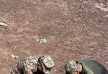Indian Army Marks World Environment Day with Awareness Drives in Kupwara, Uri