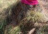 Police, Army Coordinate Safe Disposal of Mortar Shells in Rajouri