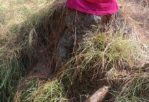 Police, Army Coordinate Safe Disposal of Mortar Shells in Rajouri