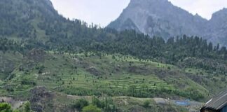 CRPF DG Reviews Security Preparedness During Visit to Kashmir’s Central Kashmir