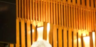 LG calls for reviving India’s knowledge legacy, strengthening cultural diplomacy