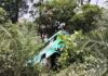18 Injured as Minibus Meets with Accident in Kathua