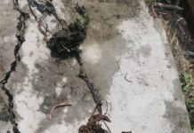 Old Mortar Shell Found During Well Cleaning in Samba Village