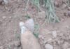 Old Shell Recovered in J&K Poonch