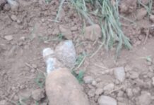 Old Shell Recovered in J&K Poonch