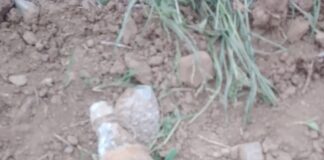 Old Shell Recovered in J&K Poonch