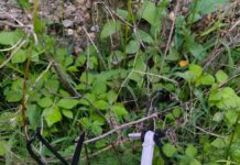Suspicious Drone Recovered from Agricultural Field in J&K’s Samba; Probe Underway