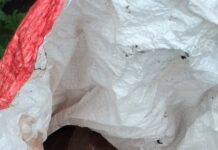 Bomb Disposal Squad Destroys IED Found in J&K Rajouri