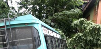 4 BSF personnel injured as bus hits electric pole in J&K’s Kulgam