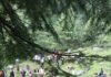 Seven Killed in Fresh Landslide in J&K’s Poonch; Rescue Operation Underway