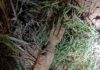 Suspicious illumination device recovered near BSF post in RS Pura Jammu, safely handled