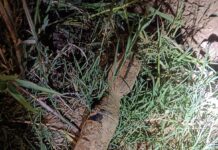 Suspicious illumination device recovered near BSF post in RS Pura Jammu, safely handled