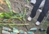 45 Shells Recovered During Search Operation in J&K Sopore