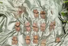 Arms and Ammunition Recovered During Search Operation in J&K’s Poonch