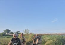 Jammu Police, BSF conduct joint search operation in Arnia