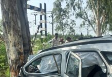 3 Killed, 3 Injured in Jalandhar Road Accident; 2 Srinagar Residents Among Dead