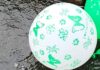Suspicious Balloons Found on House Rooftop in J&K’s Kathua; Probe Underway