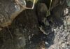 Rusted Rounds Recovered During Drainage Clearance Work in J&K’s Sopore