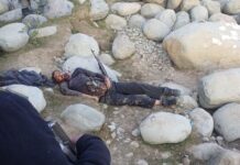 Top LeT Commander Killed In J&K’s Budgam Operation was Pakistani national Musa