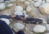 Terrorist Killed in Kashmir Encounter was Ex-Soldier of Pakistan Army