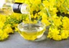 Government cuts basic import duty on crude and refined edible oils