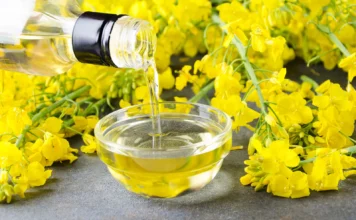 Government cuts basic import duty on crude and refined edible oils