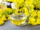 Government cuts basic import duty on crude and refined edible oils