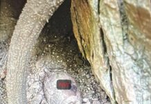 Old, rusted grenade recovered, destroyed safely in J&K’s Rajouri