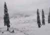Light Snowfall Likely Over Higher Reaches as Rain Forecast for J&K