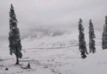 Light Snowfall Likely Over Higher Reaches as Rain Forecast for J&K